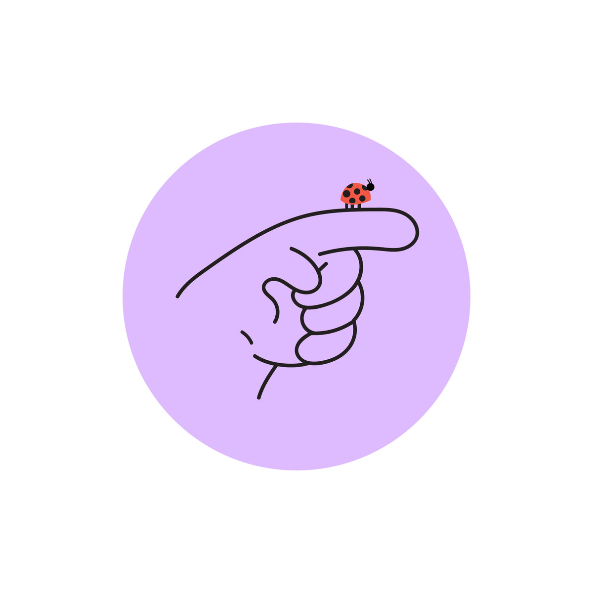 Little Lady Bug
