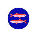 Blue Sardines
